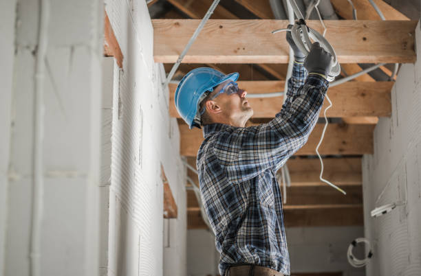 Best Ceiling Fan Installation Electrician  in Pequot Lakes, MN