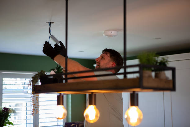 Best Outdoor Lighting Installation  in Pequot Lakes, MN