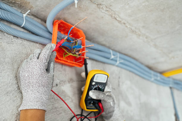 Best Electric Panel Repair  in Pequot Lakes, MN